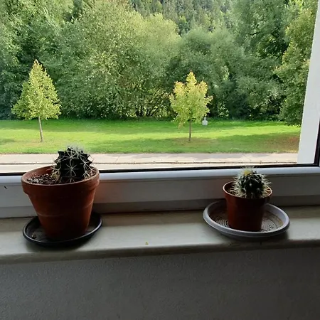 Sandappart Wg2 In 1og Mit Kostenlose Park In Bul, Bayern Apartment *
